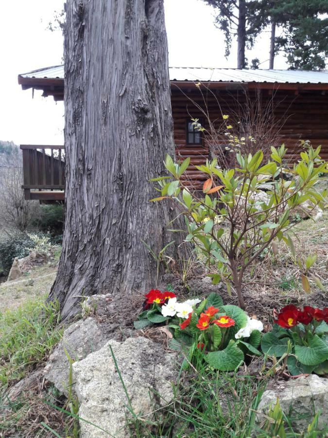 Cerro Cumbrecita Villa ลากุมเบรซิตา ภายนอก รูปภาพ